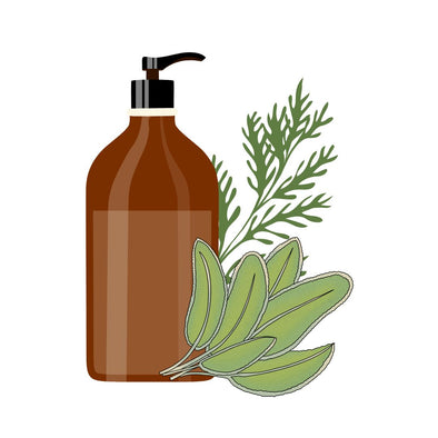 Oneka - Cedar + Sage - Body & Hand Wash